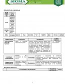 Lenguaje 10 La normativa del sustantivo PreU pràctico