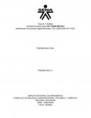 Complejo tecnológico agroindustrial, pecuario y turístico