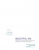 Administración de operaciones Beautiful Spa