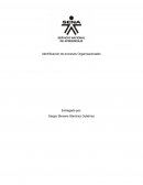 Identificación de procesos Organizacionales