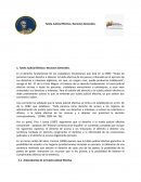 Tutela Judicial Efectiva. Nociones Generales