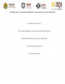 Estrategias para el Aprendizaje Significativo- Experiencia de una Clase Multimodal