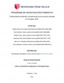 Contaminación ambiental y la destrucción de los recursos naturales en Chimbote, 2023