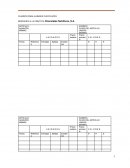 Respuesta a la práctica Chocolates Nutritivos, S.A