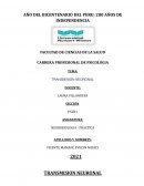 Transmisión neuronal