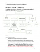 Administración de Empresas Módulo Organización – Función Organización