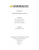 Conociendo experiencias locales