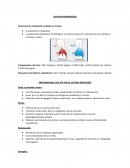 Sistema respiratorio. Enfermedades que afetan al sistema respitario