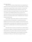 Relato Trabajo Colaborativo