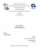 Las Tragedias del día a día