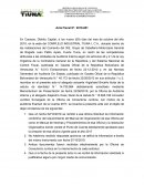 Acta fiscal a consultoría