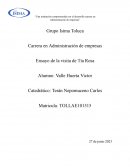 Ensayo de la visita de Tía Rosa