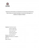 Resistencia antimicrobiana por Escherichia coli productora de Infección del Tracto Urinario en mujeres internadas en el servicio de nefrología en un Hospital de la Región del Maule