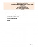 Metodologia del estudio: Entrevista