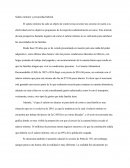 Salario minimo y precariedad laboral