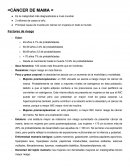 Cáncer de mama. Factores de riesgo