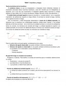 Teoría económica de los incentivos