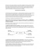 Características de un sistema ERP