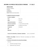 Informe de pericia psicológica forense