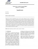 Informe de saponificación