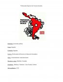 Estructuralismo latinoamericano