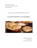 Homenaje a la Arepa. nuestro símbolo gastronómico de identidad