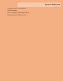 Menores en Conflicto con la ley