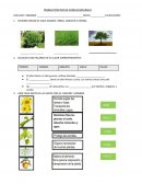Trabajo practico de ciencias naturales s/r
