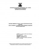 Revisión ambiental inicial a una plantación de palma aceitera