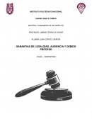 Garantias de legalidad, audiencia y debido proceso