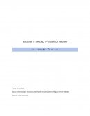 Informe Joyeria Zibá