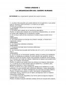 La organización general del cuerpo humano.