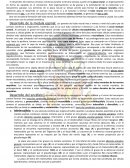 Guia de neuro embriologia