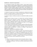 Identificación y evaluación de riesgos laborales