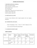 Informe psicopedagógico