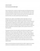 Columna de opinión. Estadio seguro