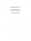 “Ejercicio de aplicación C2” Preparación de Minerales