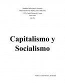 Capitalismo y Socialismo