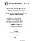 Informe de diagnóstico organizacional del Colegio Flora Cordova de talledo 15026