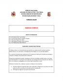 Formato taller habeas corpus