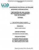 Harina de garbanzo por extrusión