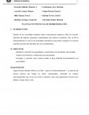 Plantas con potencial de biorremediación