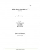 Informe de evaluación psicológica forense