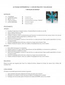 Actividad experimental 5. Concentración y solubilidad “Cristales de Borax”