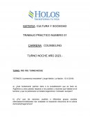 Trabajo practico de Cultura y Sociedad para Couseling