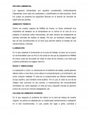 Estudio ambiental de waffle de avena