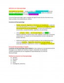 Neuropsicología de la conducta