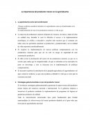 La importancia del productor menor en la agroindustria