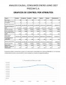 Análisis causal, consumos enero-junio 202? Procam S.A.