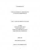 Validación propuesta de valor